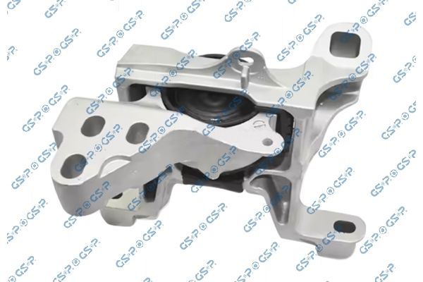Variklio montavimas GSP 539819