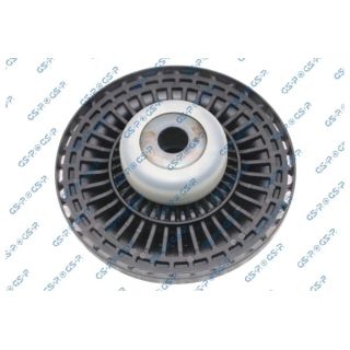 Frikcinis guolis, pakabos statramsčio atramos montavimas GSP 537043