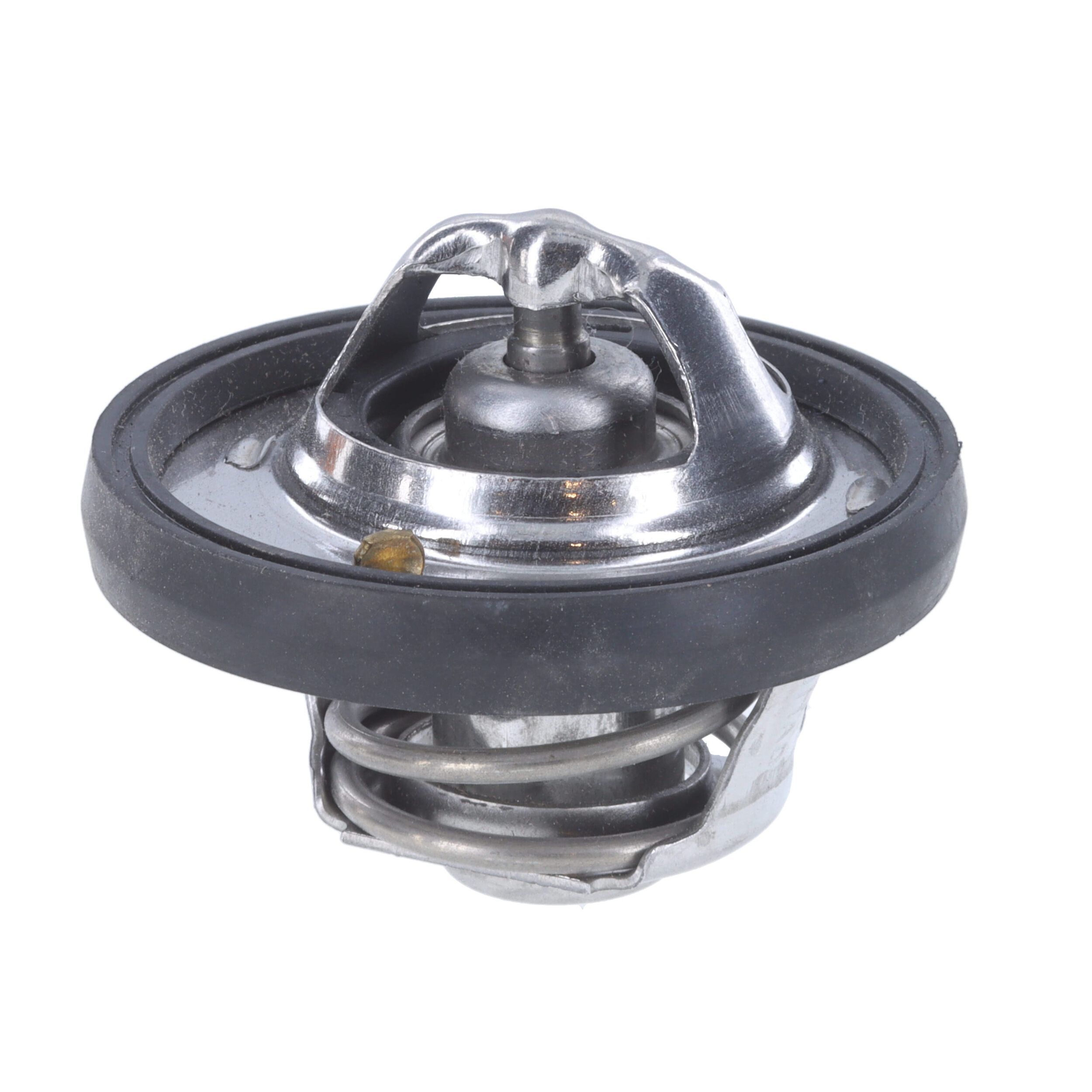 Termostatas, aušinimo skystis MOTORAD 5656-91K