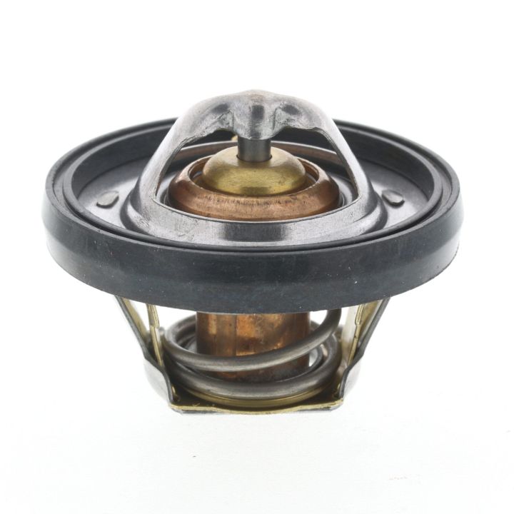 Termostatas, aušinimo skystis MOTORAD 7656-91K