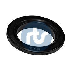 Pakabos statramsčio atraminis guolis RTS 039-00095-002