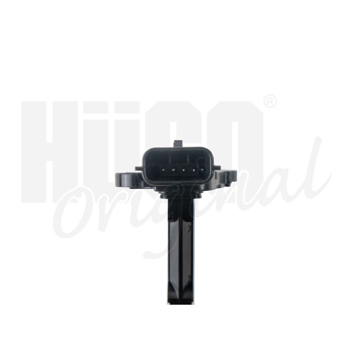 Ritė, uždegimas HITACHI 133795