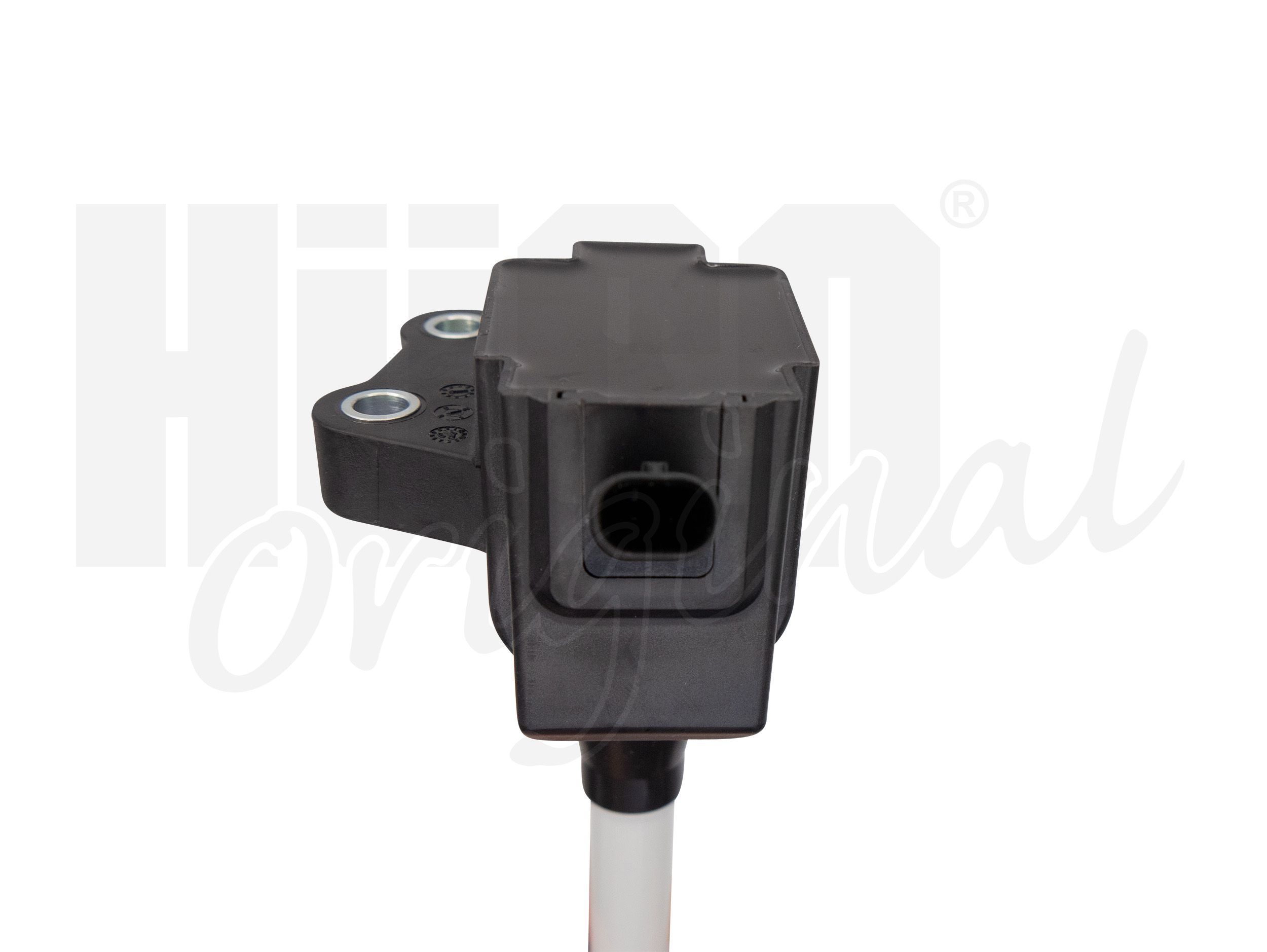 Ritė, uždegimas HITACHI 133796