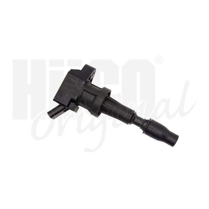 Ritė, uždegimas HITACHI 133797