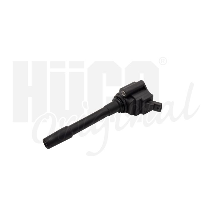 Ritė, uždegimas HITACHI 133797