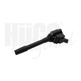 Ritė, uždegimas HITACHI 133798