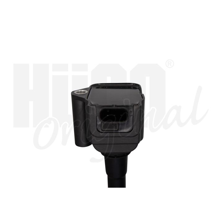 Ritė, uždegimas HITACHI 133798