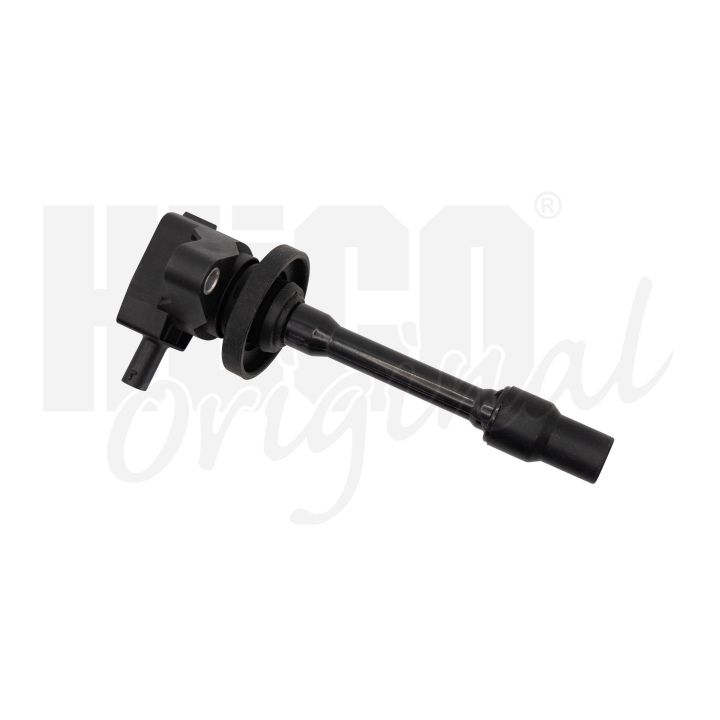 Ritė, uždegimas HITACHI 133799