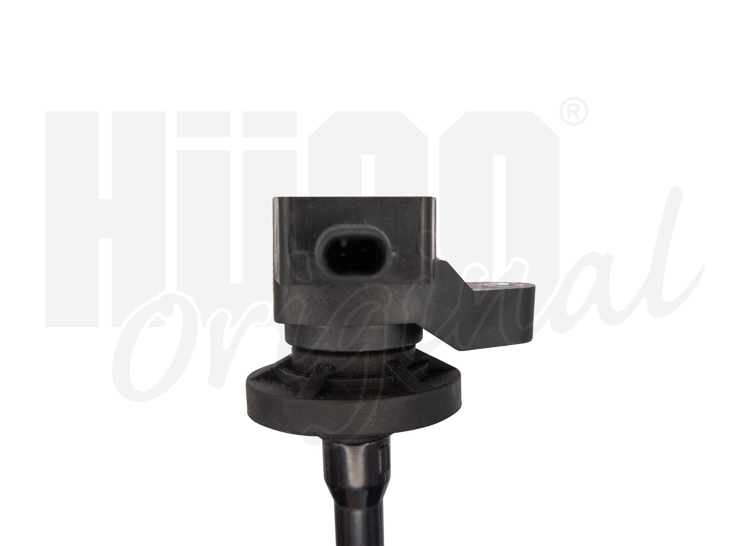 Ritė, uždegimas HITACHI 133799