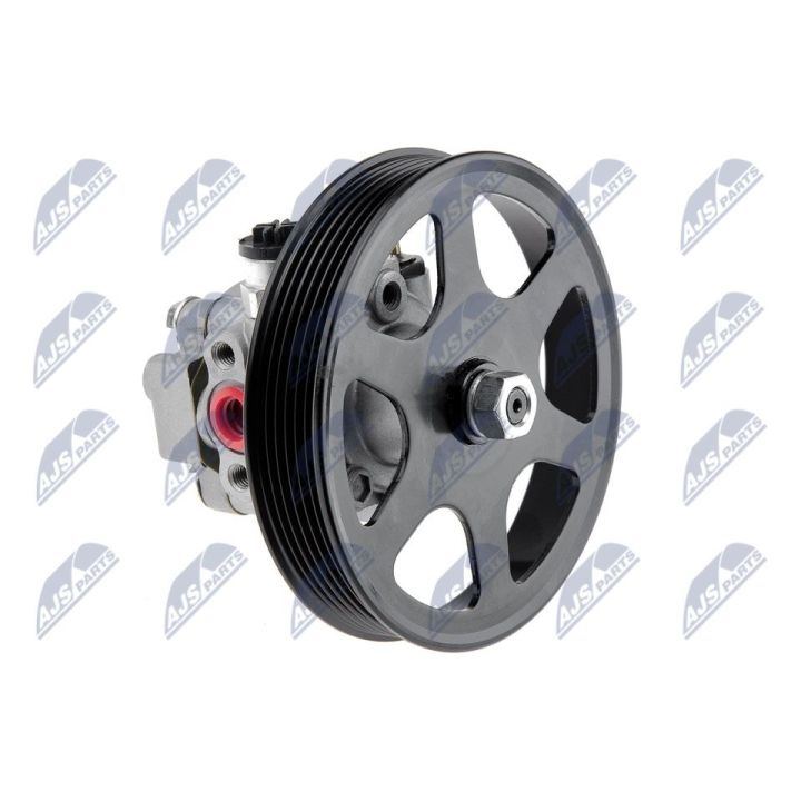 Hidraulinis siurblys, vairo sistema NTY SPW-MZ-004