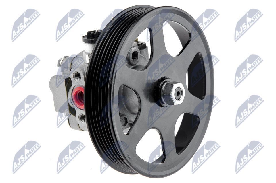 Hidraulinis siurblys, vairo sistema NTY SPW-MZ-004