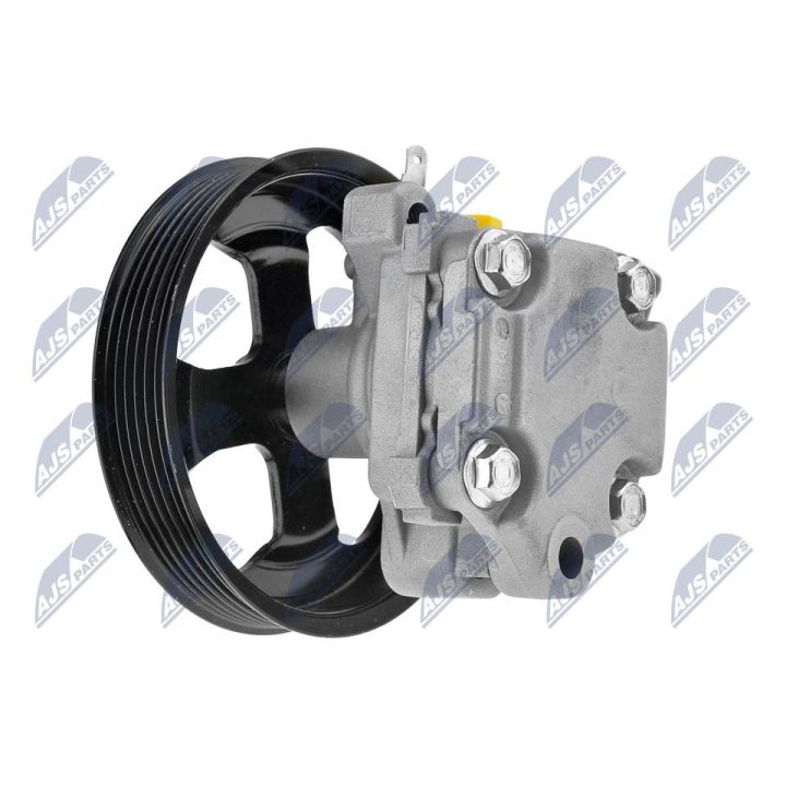 Hidraulinis siurblys, vairo sistema NTY SPW-MZ-007