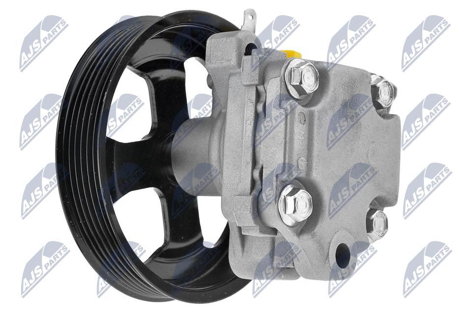 Hidraulinis siurblys, vairo sistema NTY SPW-MZ-007