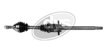 Pusašis DYS 76-RN-8186