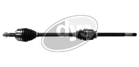 Pusašis DYS 76-RN-9944