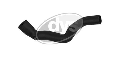 Radiatoriaus žarna DYS 77-12442