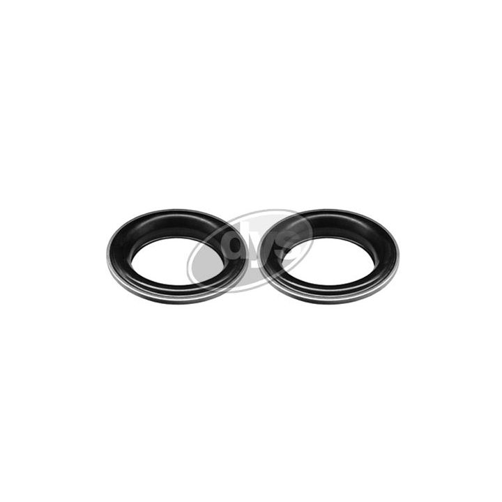 Frikcinis guolis, pakabos statramsčio atramos montavimas DYS 73-12551