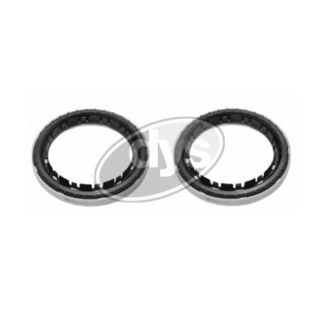 Frikcinis guolis, pakabos statramsčio atramos montavimas DYS 73-12827