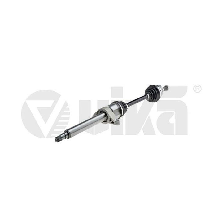 Pusašis vika 49873401