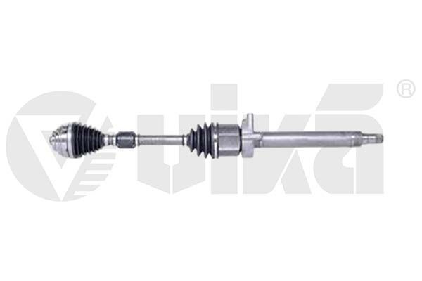 Pusašis vika 49873601