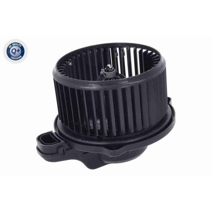 Vidaus pūtiklis ACKOJA A52-03-0018