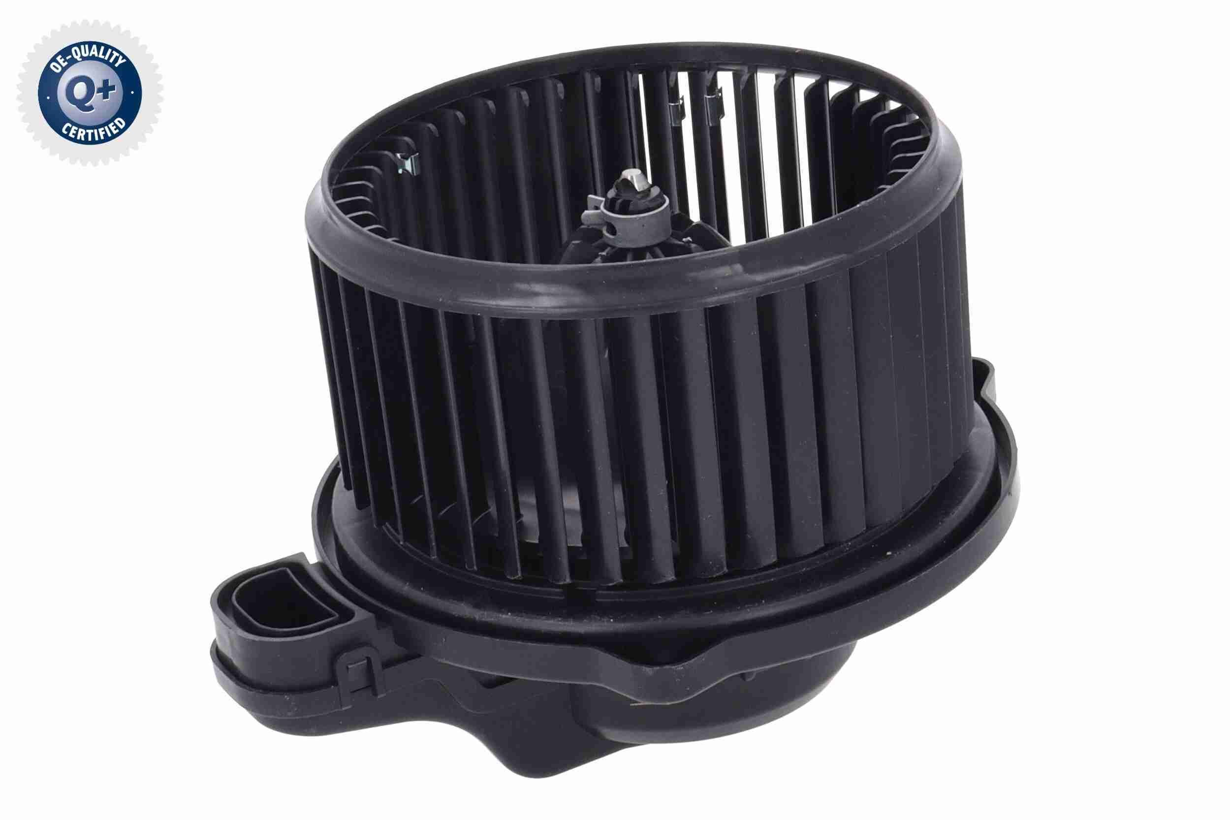 Vidaus pūtiklis ACKOJA A52-03-0018