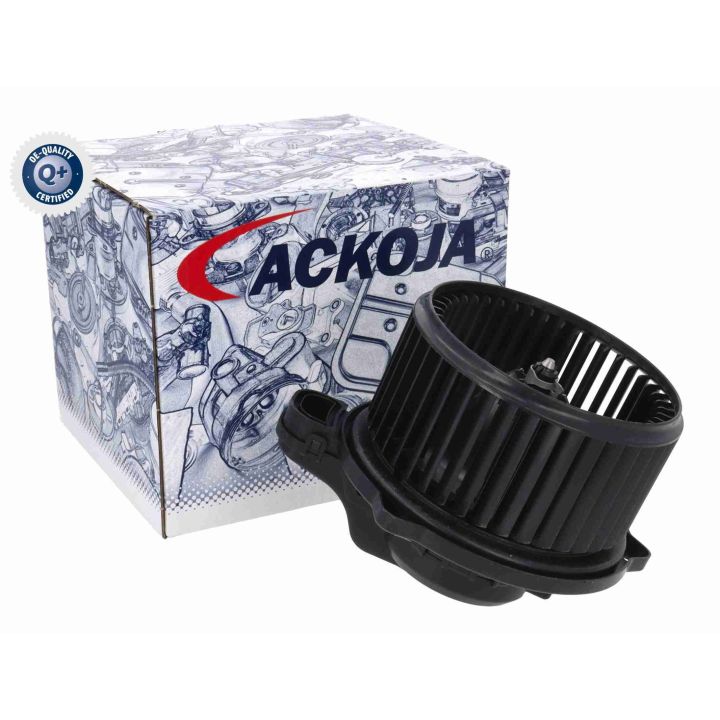 Vidaus pūtiklis ACKOJA A52-03-0018