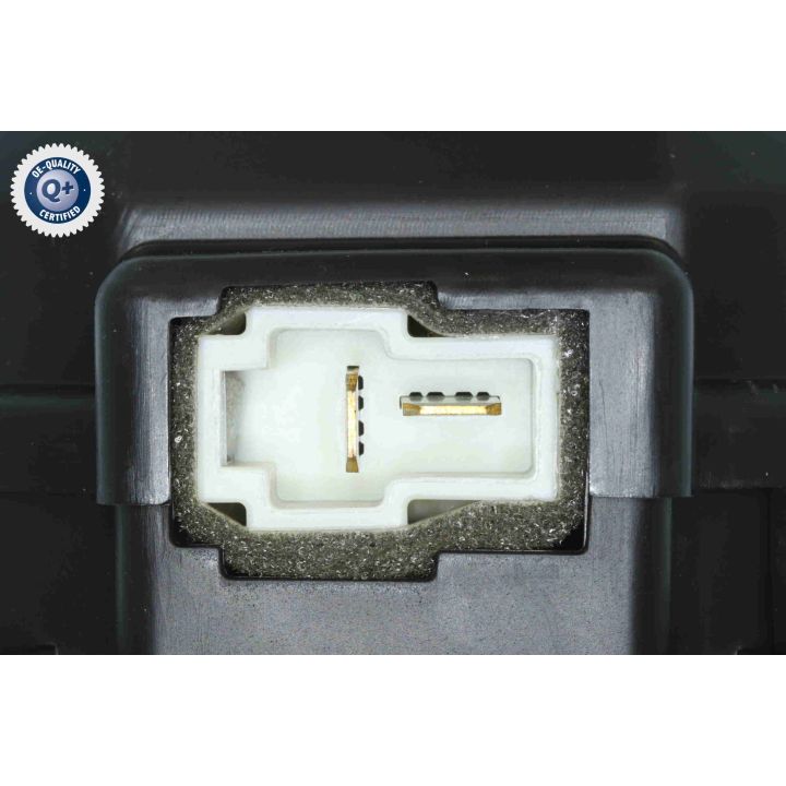 Vidaus pūtiklis ACKOJA A52-03-0018