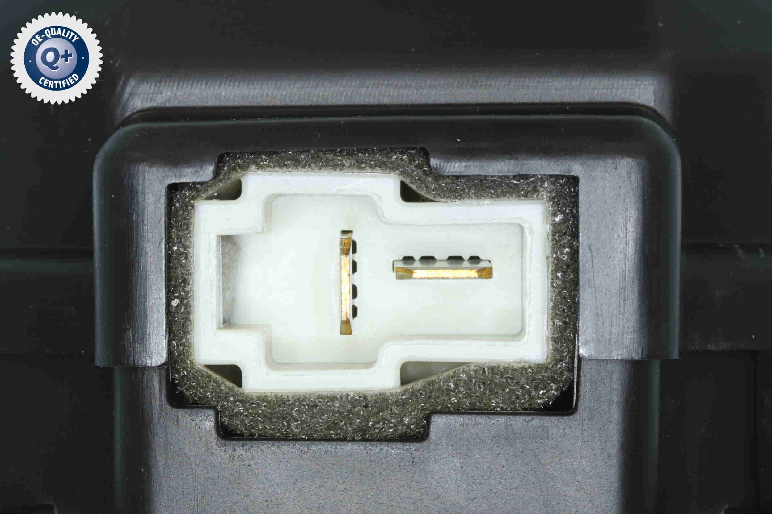 Vidaus pūtiklis ACKOJA A52-03-0018