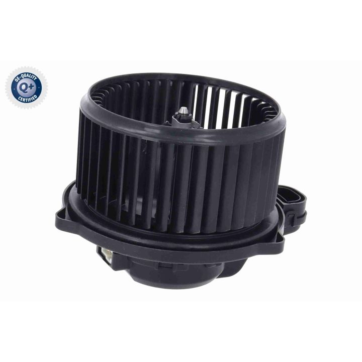 Vidaus pūtiklis ACKOJA A52-03-0018