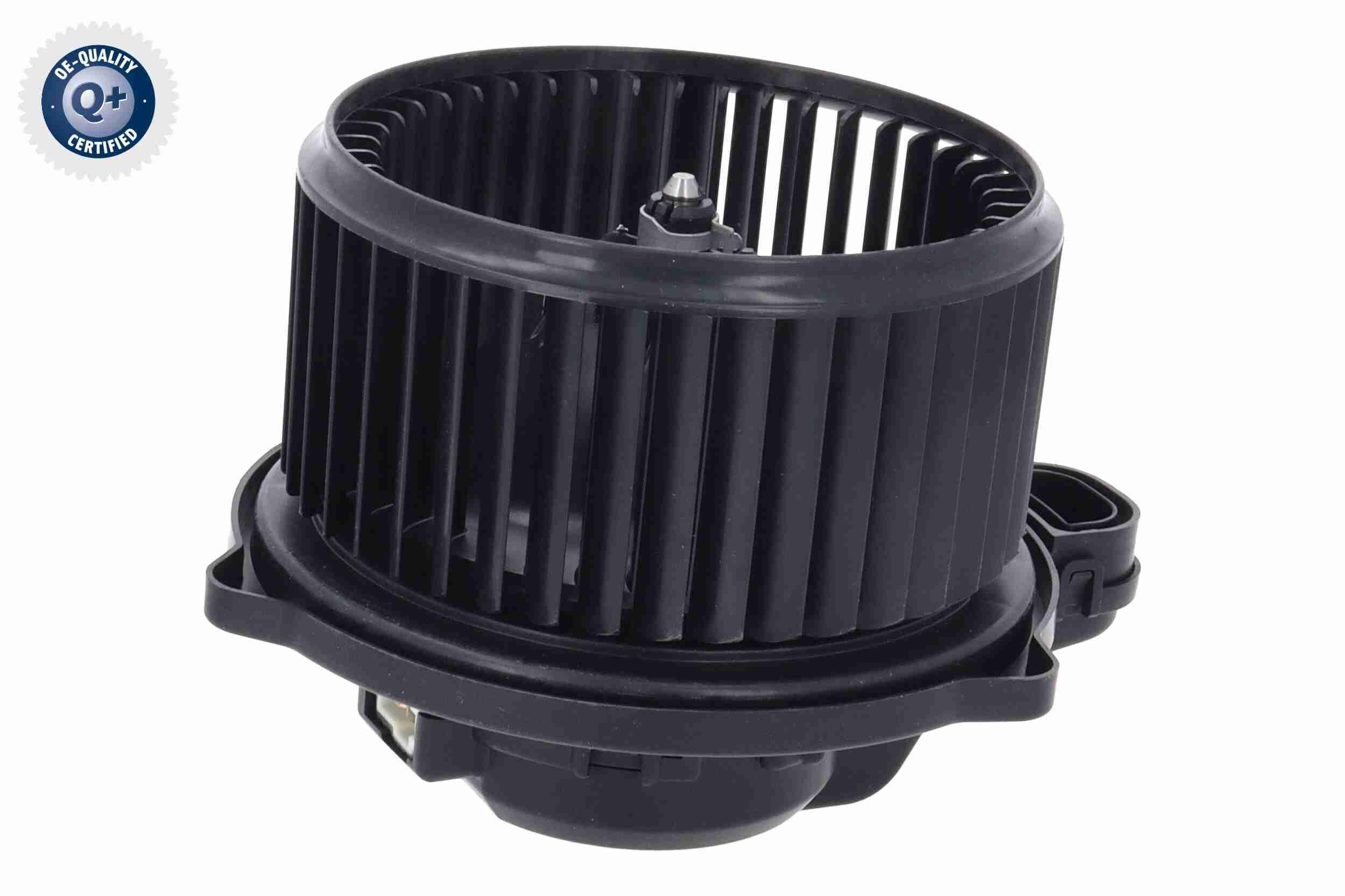 Vidaus pūtiklis ACKOJA A52-03-0018