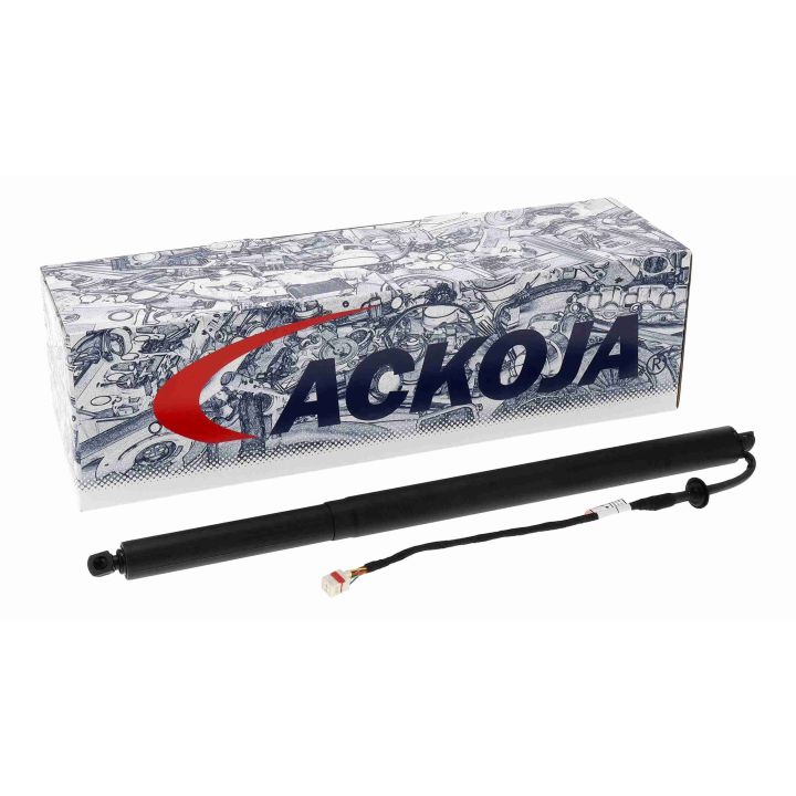 Galinių durų elektros variklis ACKOJA A52-55-0001