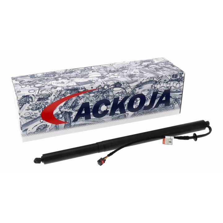 Galinių durų elektros variklis ACKOJA A52-55-0002