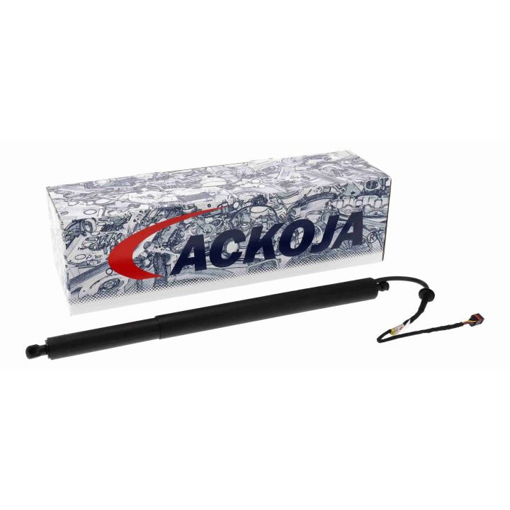 Galinių durų elektros variklis ACKOJA A52-55-0004