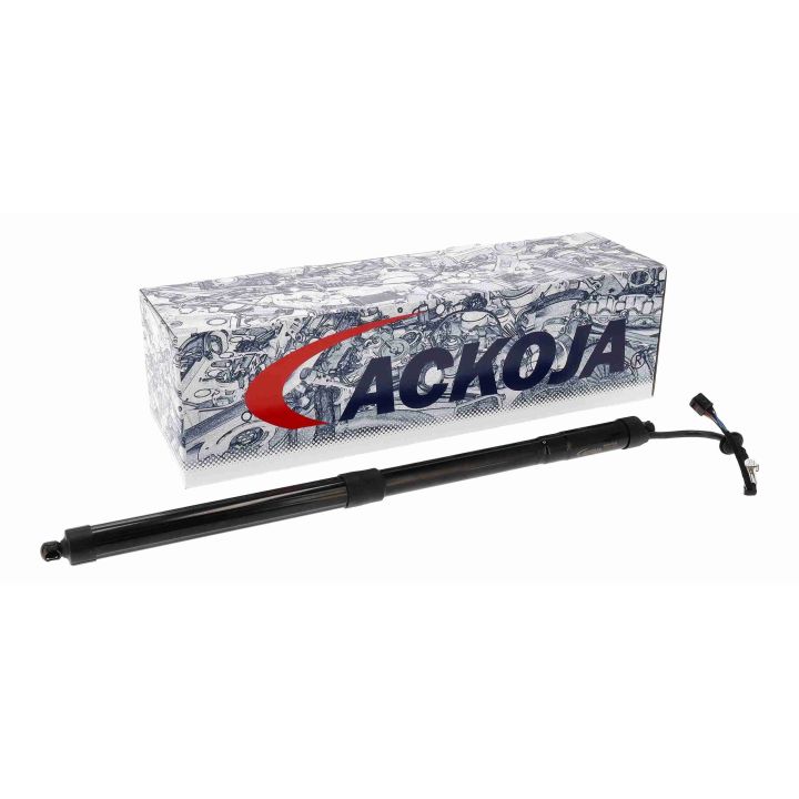 Galinių durų elektros variklis ACKOJA A52-55-0010