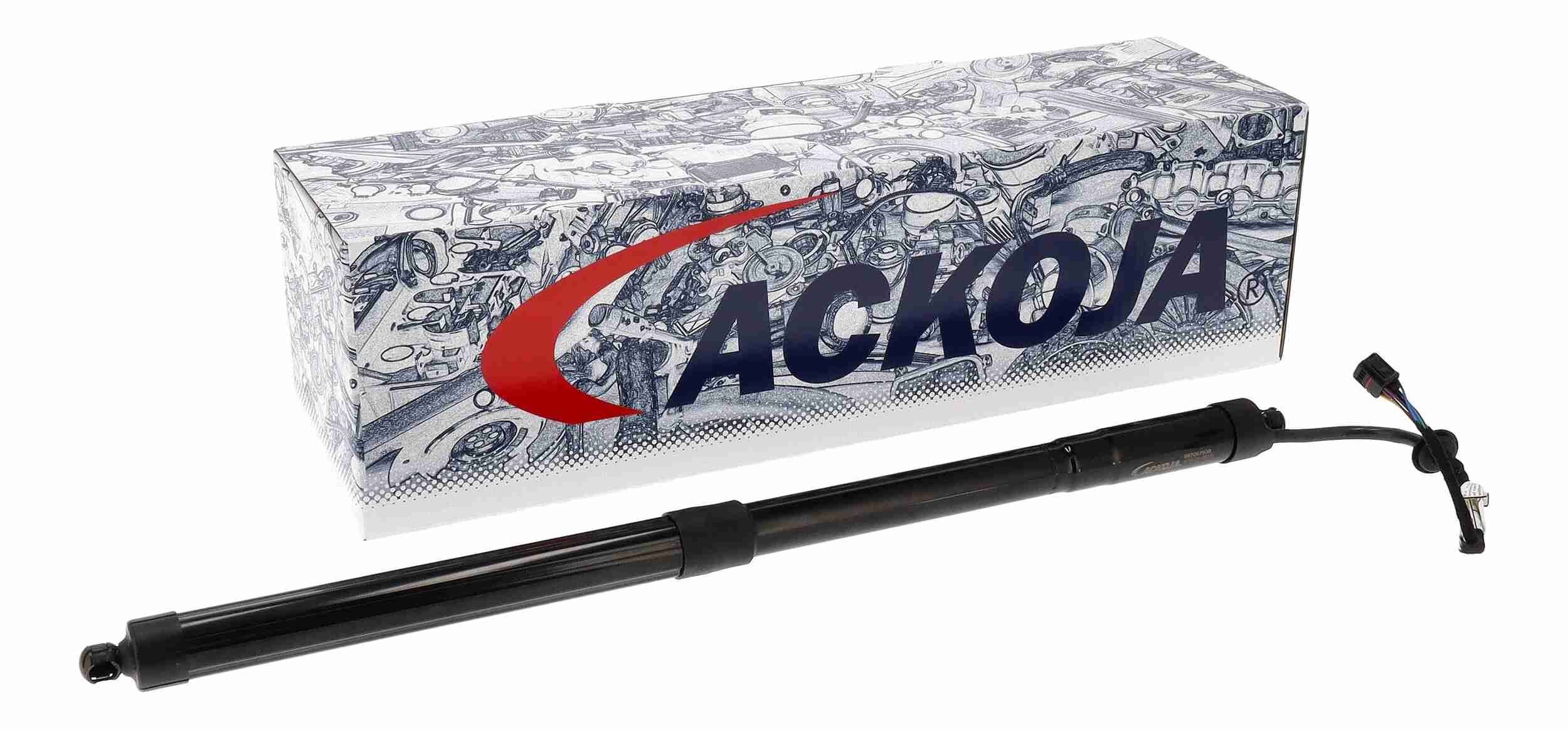 Galinių durų elektros variklis ACKOJA A52-55-0010