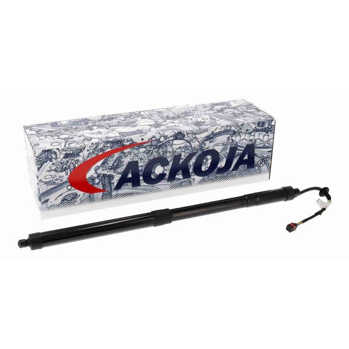 Galinių durų elektros variklis ACKOJA A52-55-0011