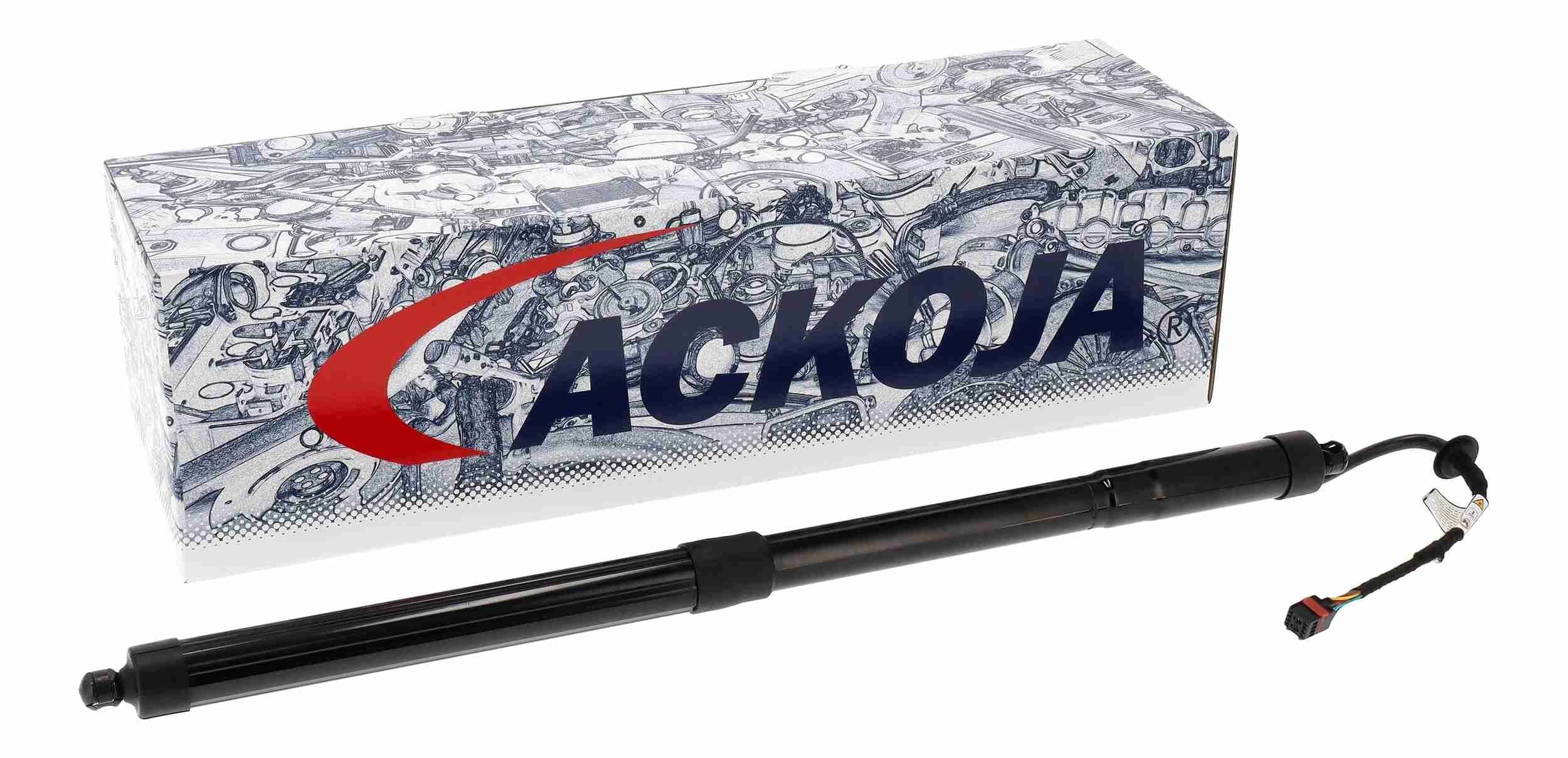 Galinių durų elektros variklis ACKOJA A52-55-0011