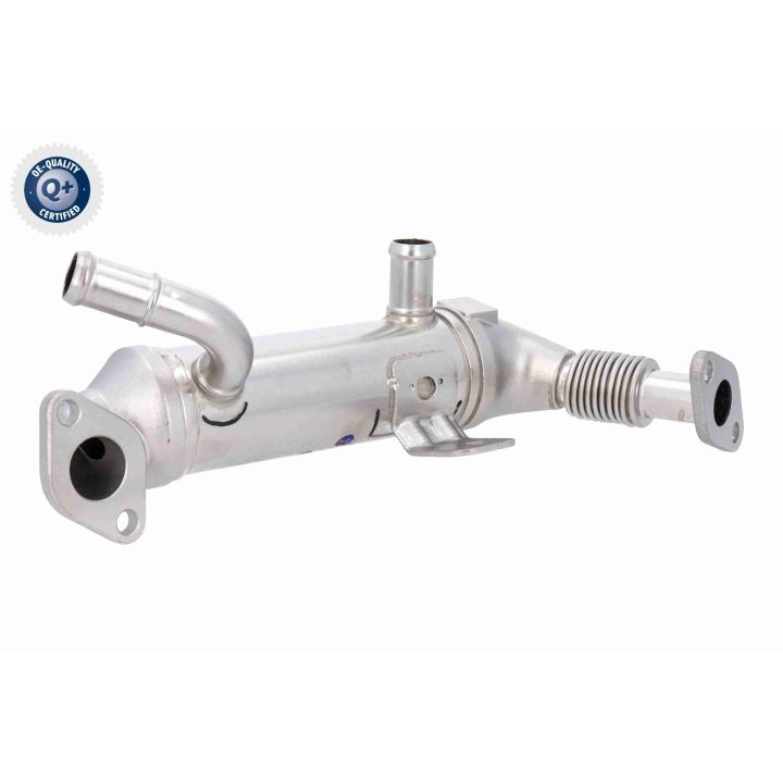 Aušintuvas, išmetamųjų dujų recirkuliacija ACKOJA A52-63-0032