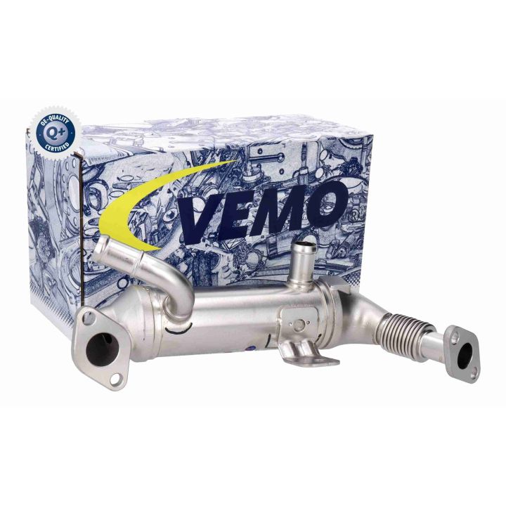 Aušintuvas, išmetamųjų dujų recirkuliacija ACKOJA A52-63-0032