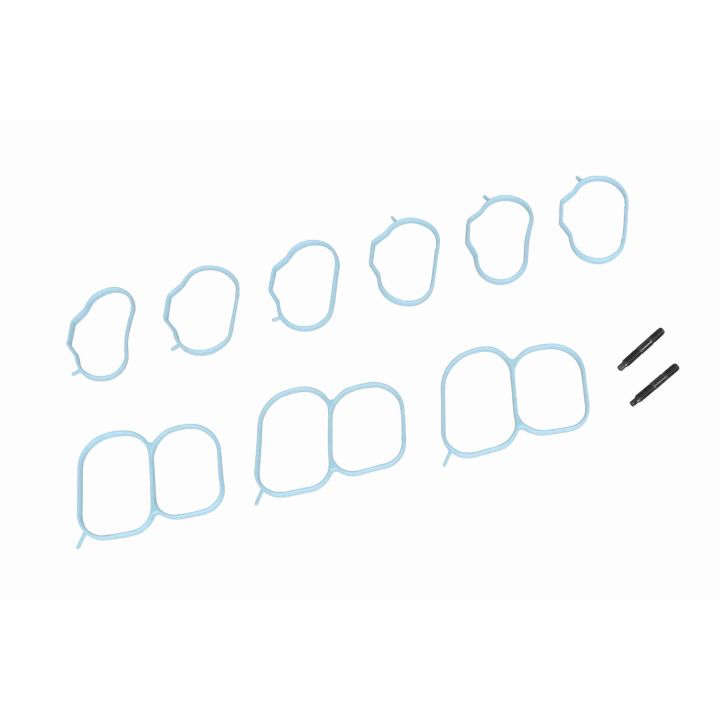 įsiurbimo kolektoriaus modulis ACKOJA A52-9639