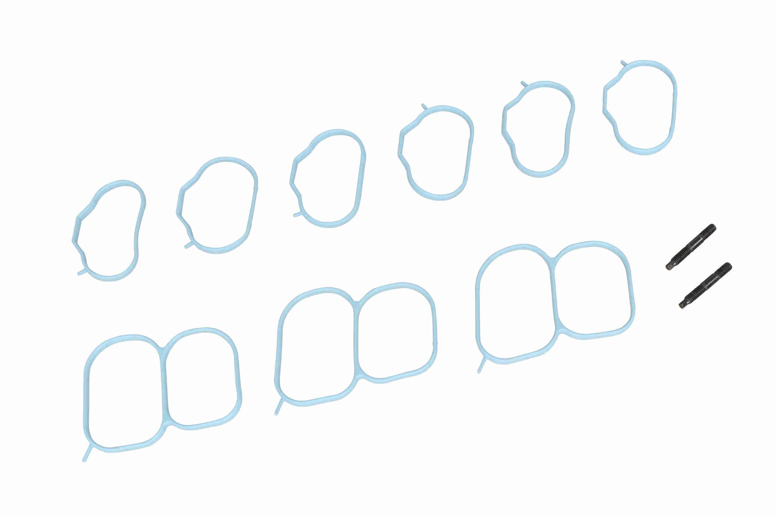 įsiurbimo kolektoriaus modulis ACKOJA A52-9639