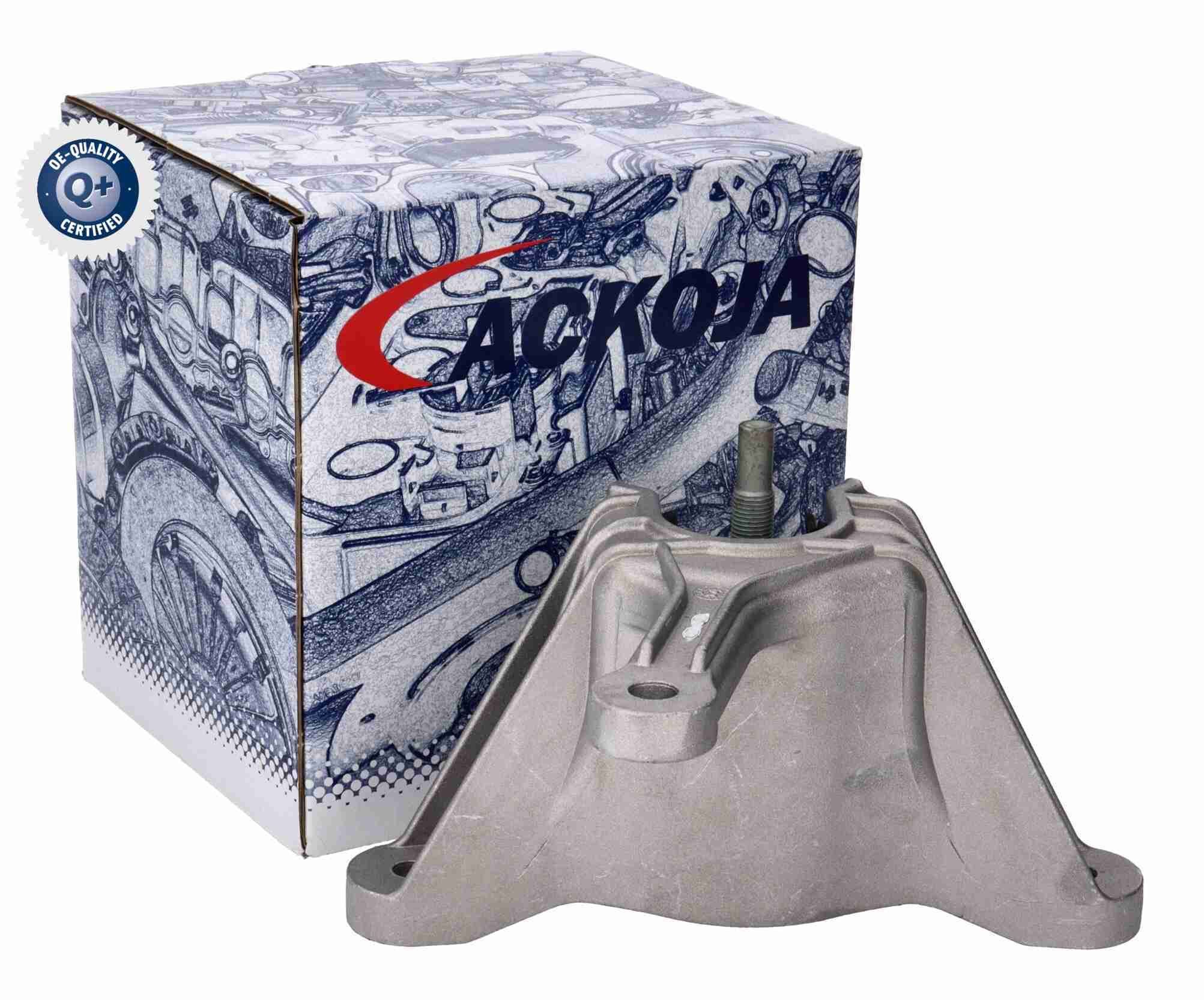 Variklio montavimas ACKOJA A52-9687