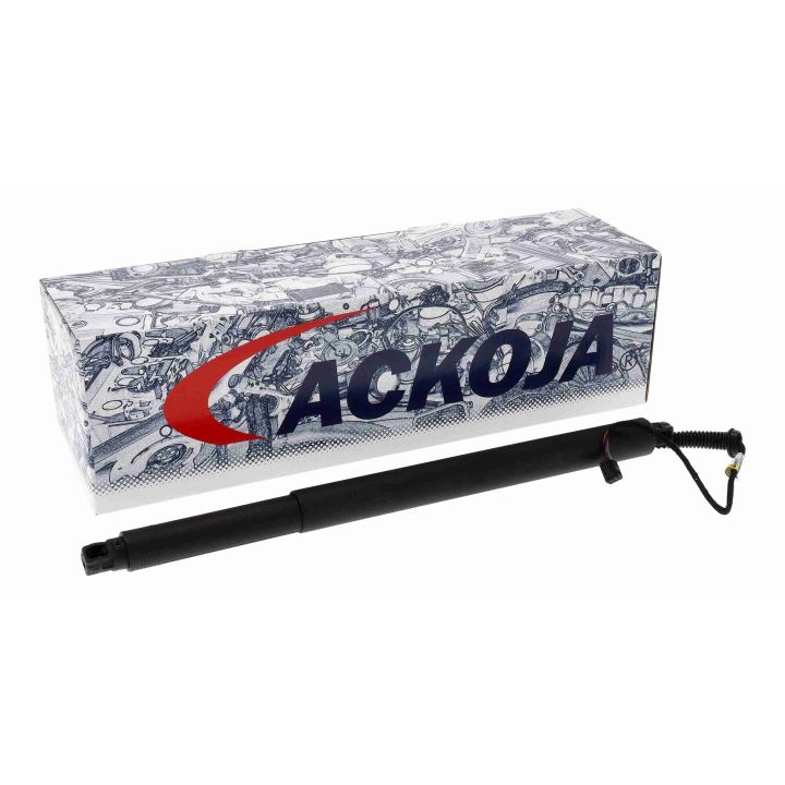 Galinių durų elektros variklis ACKOJA A53-55-0004