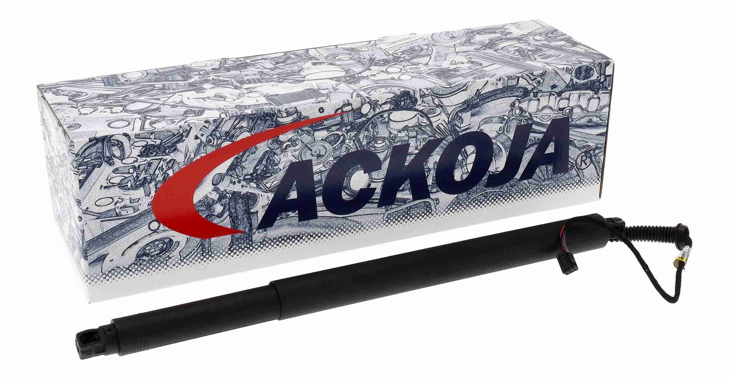 Galinių durų elektros variklis ACKOJA A53-55-0004