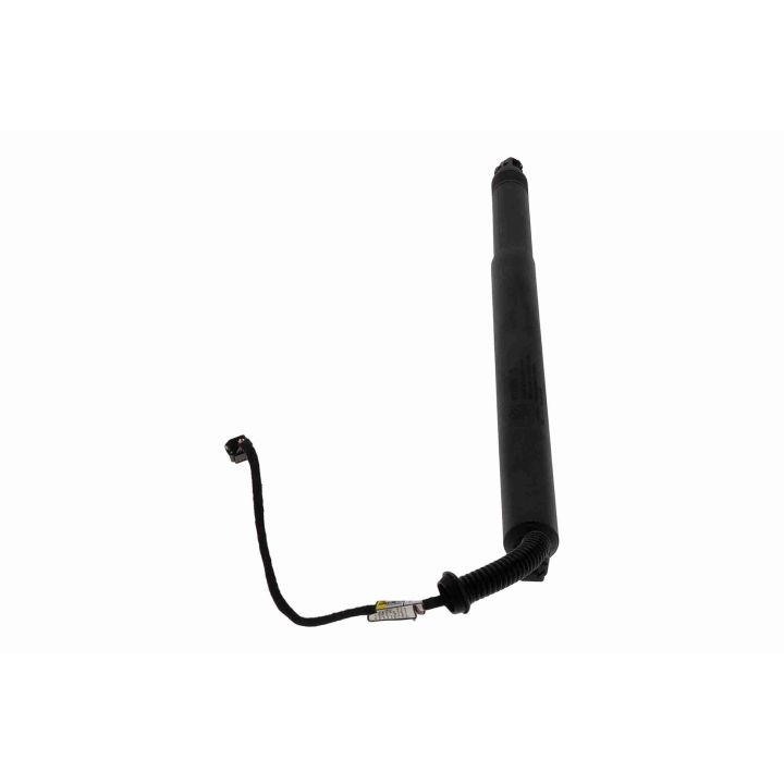 Galinių durų elektros variklis ACKOJA A53-55-0004