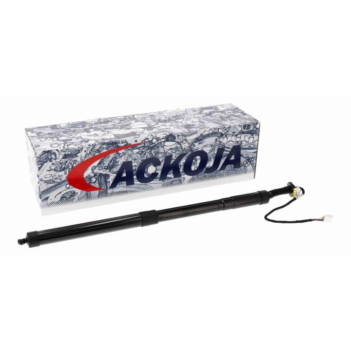 Galinių durų elektros variklis ACKOJA A70-55-0003