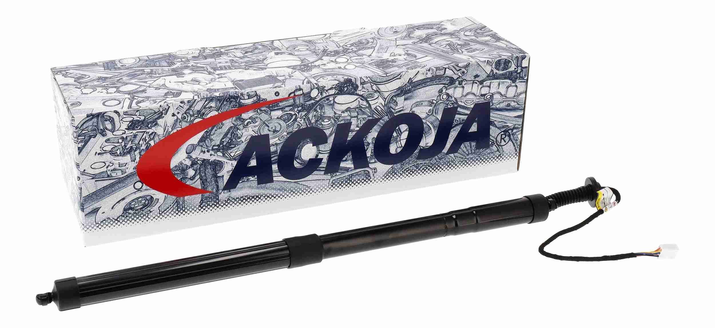 Galinių durų elektros variklis ACKOJA A70-55-0003