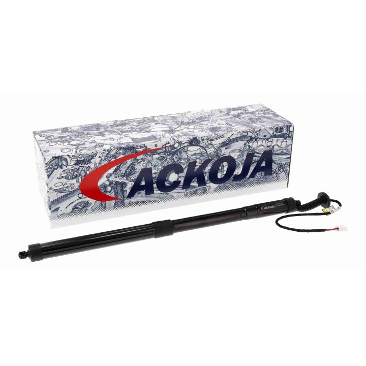 Galinių durų elektros variklis ACKOJA A70-55-0004