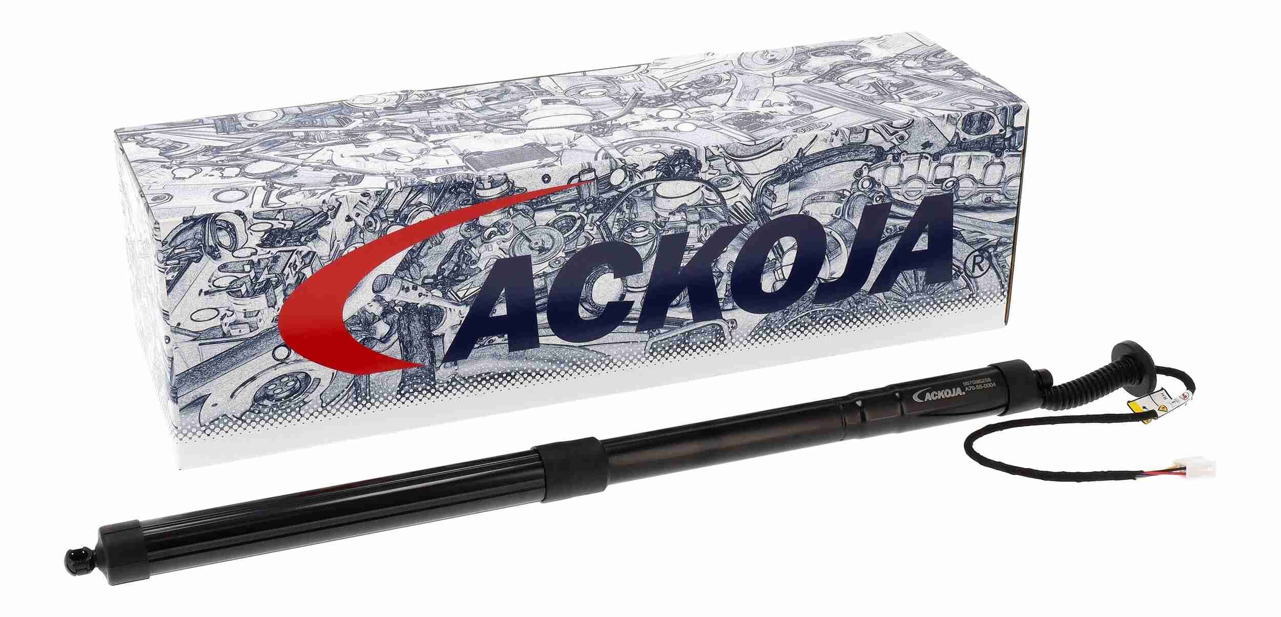 Galinių durų elektros variklis ACKOJA A70-55-0004